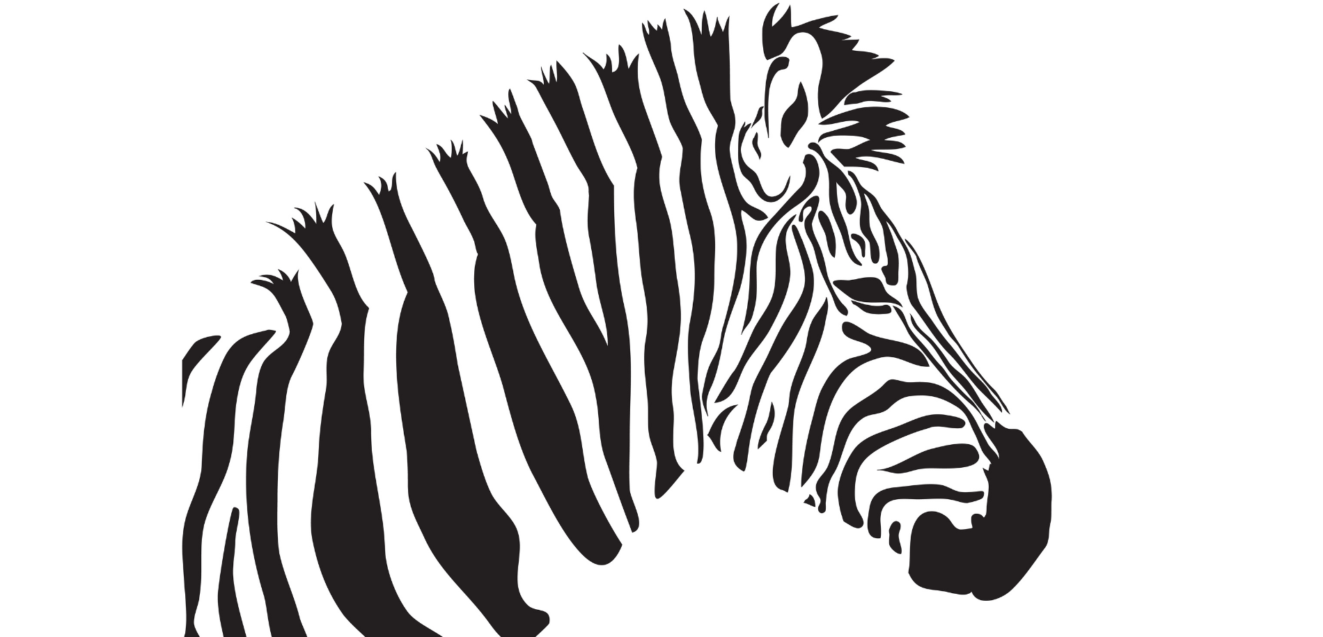 zebre.png